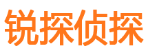 定州市私家侦探